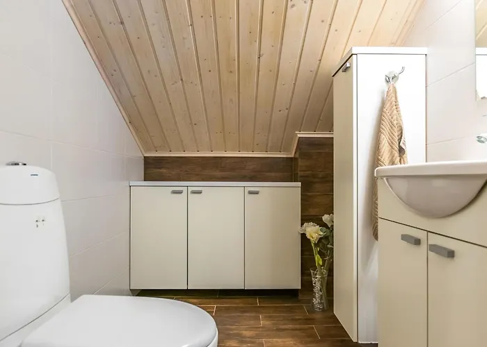 Maentyranta By Interhome Leivonmaki (Central Finland)